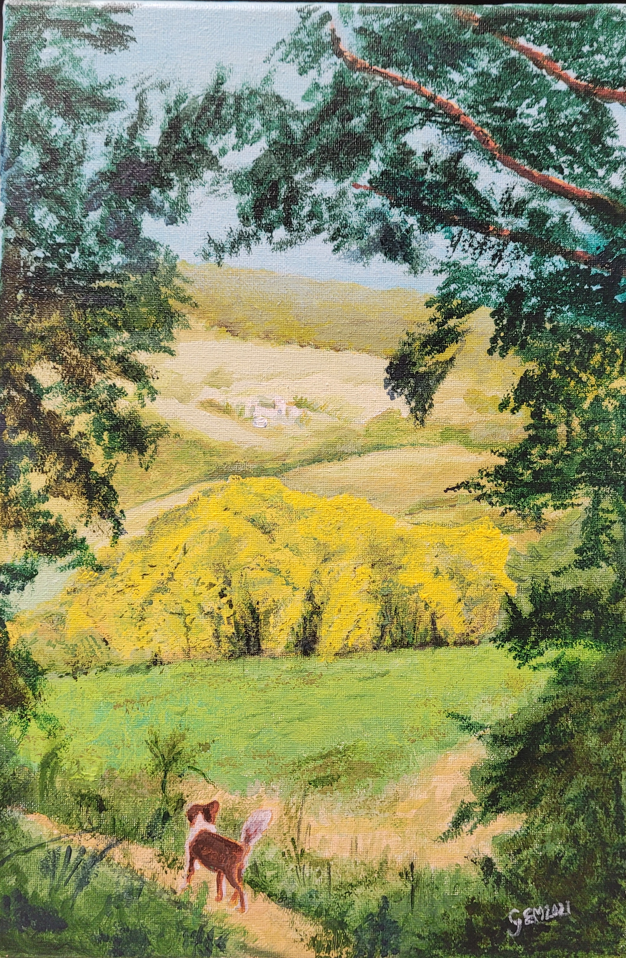 La trouée du bois