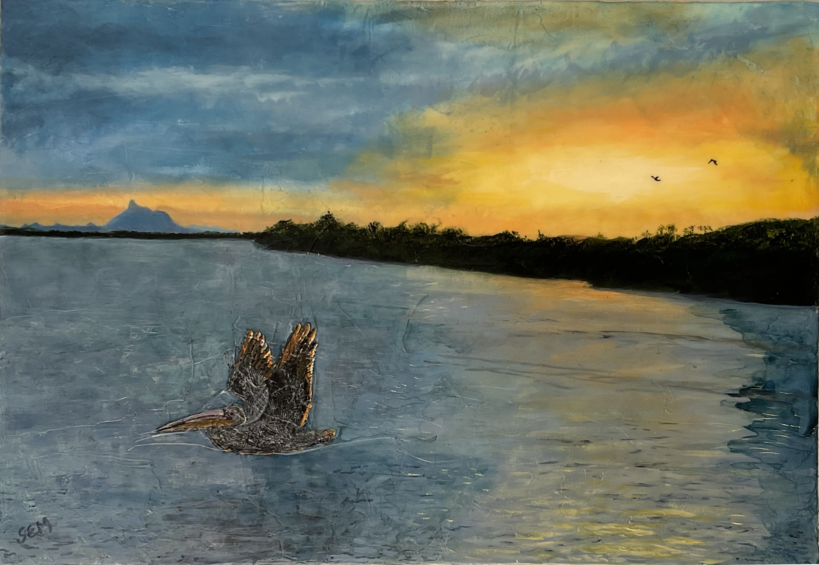 Un pelican plane devant un coucher de soleil