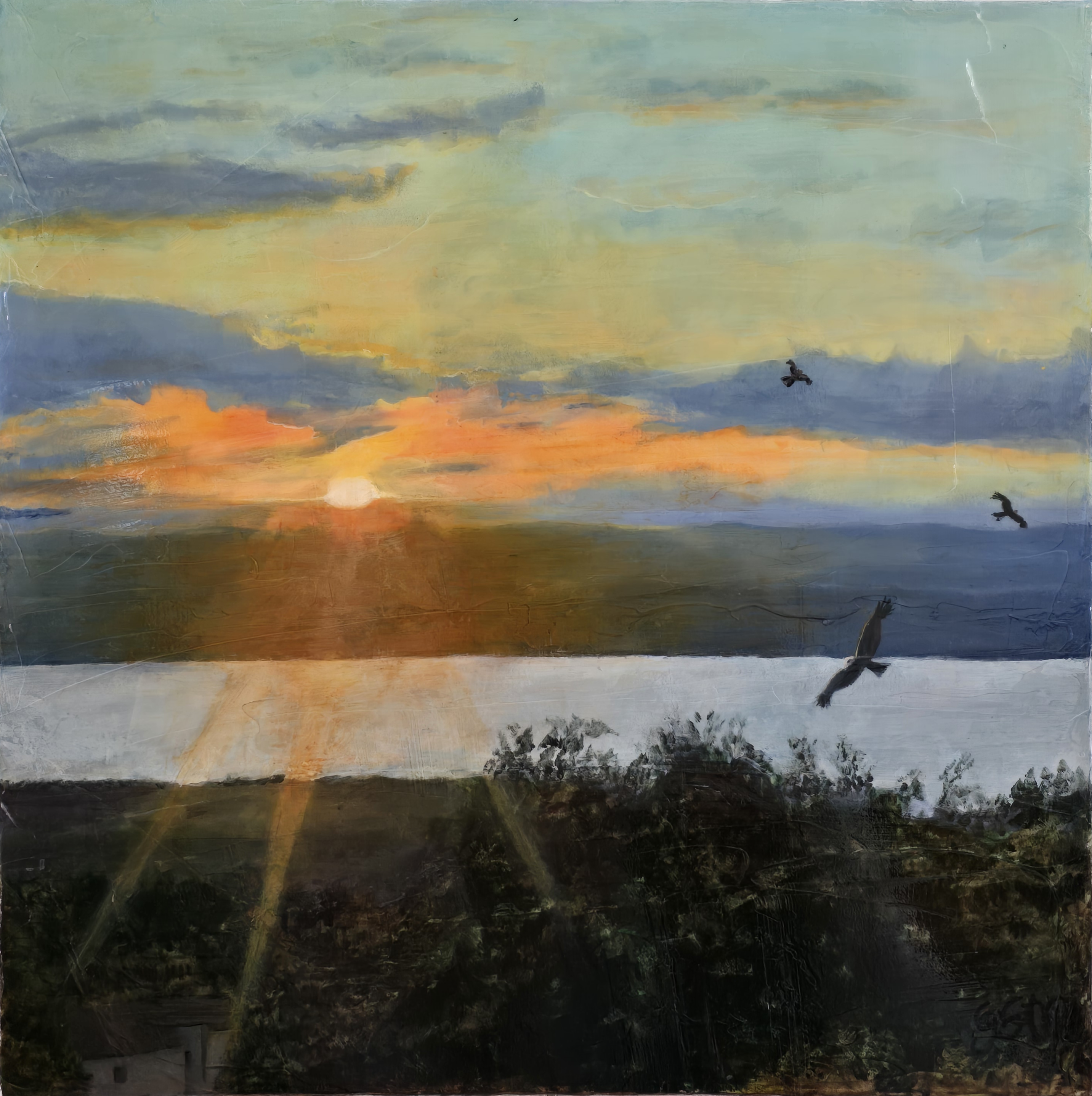 Lac Léman sunset