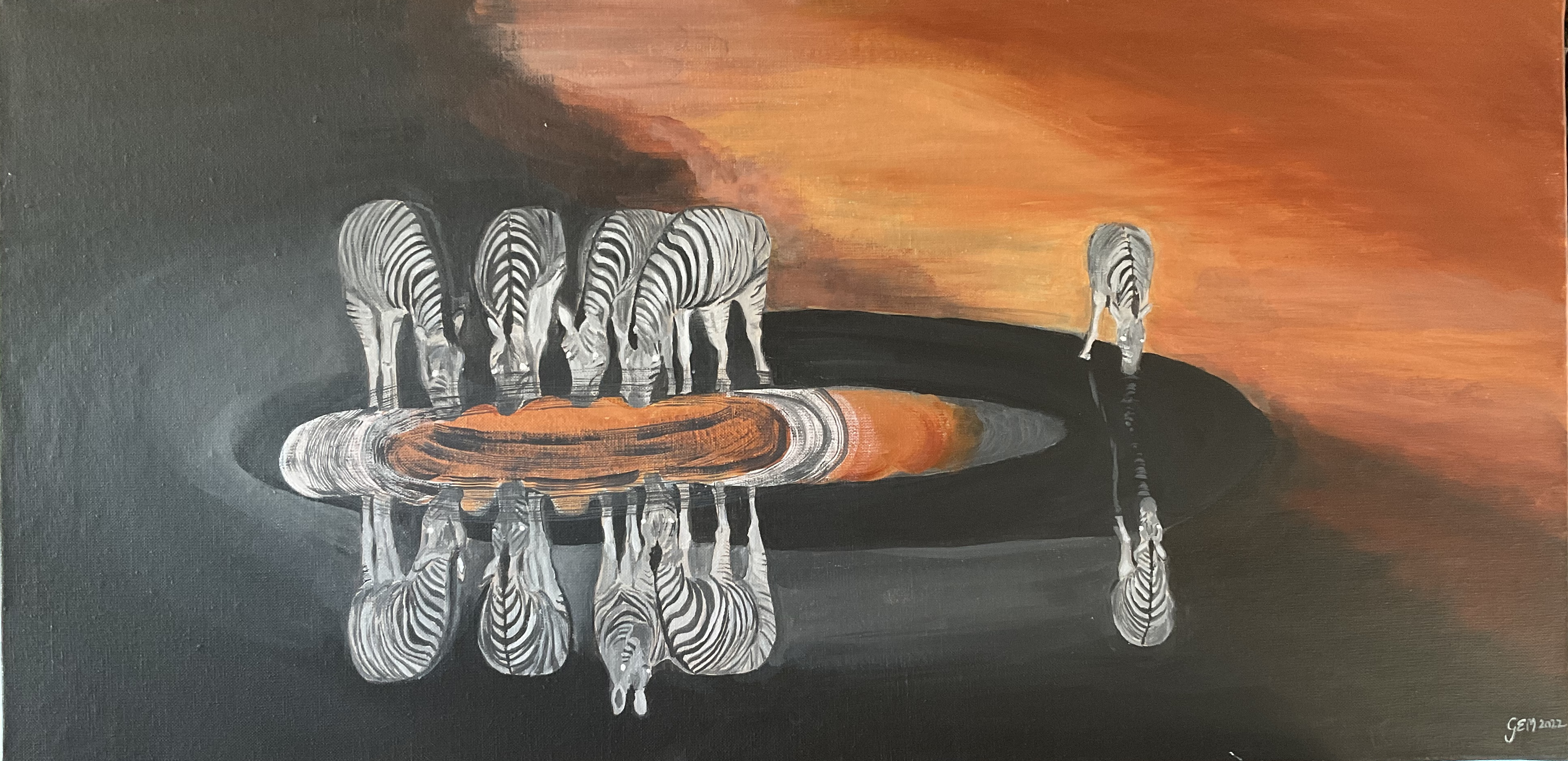 Nuit dans le désert de Namibie. Les Zèbres buvant au point d'eau