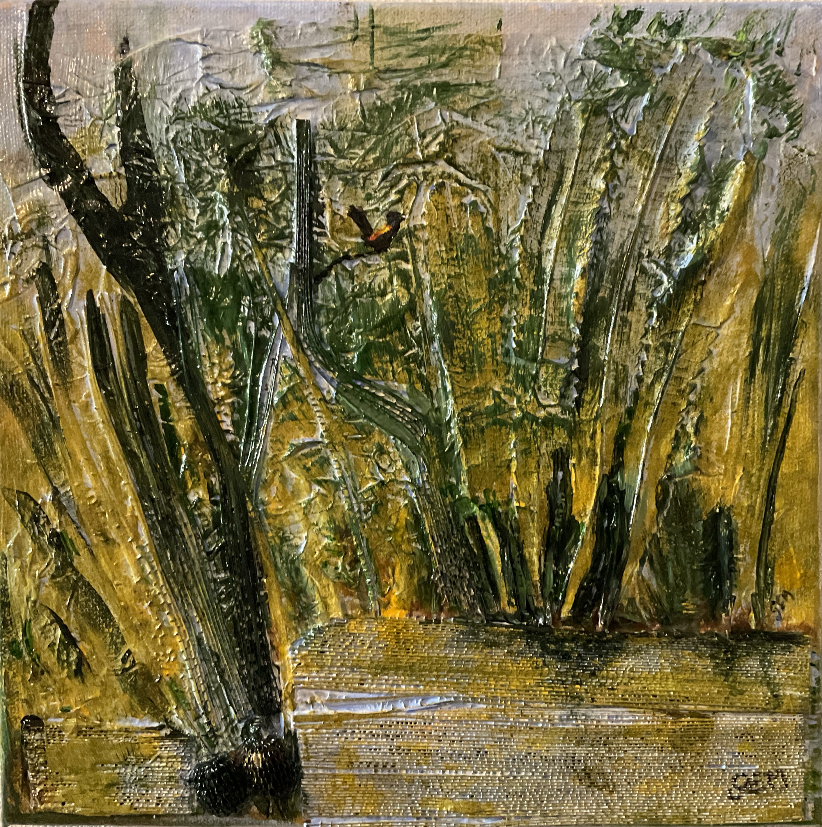 Plan d'eau - grandes herbes et oiseau noir et jaune