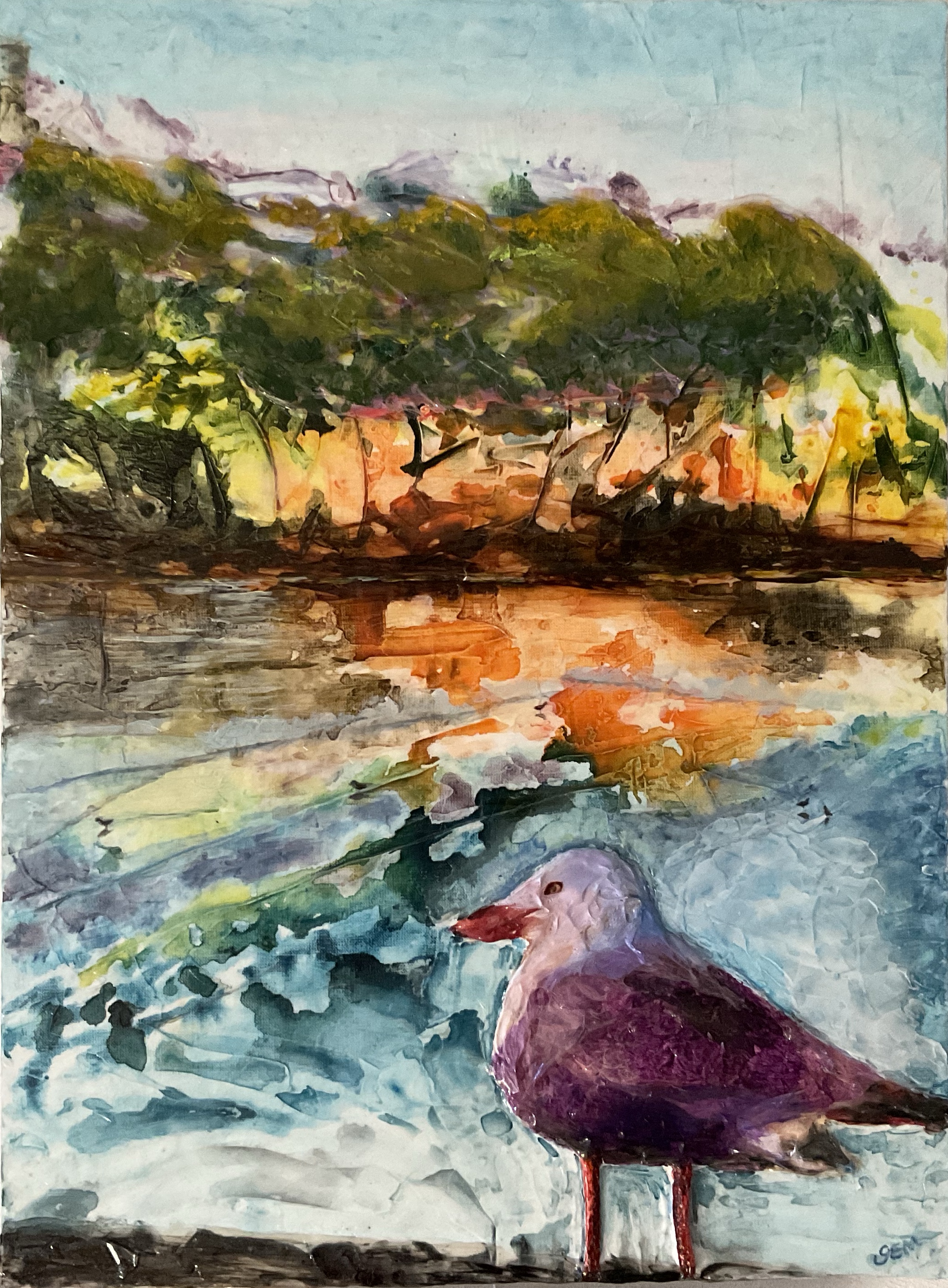 Mouette observe embrasement de la plage et rive