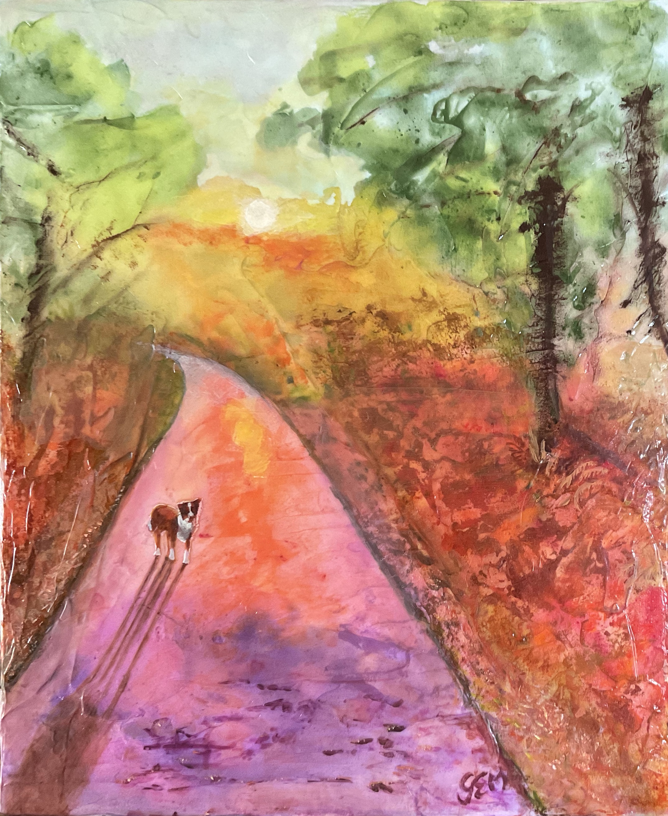 Chien Route foret après la pluie