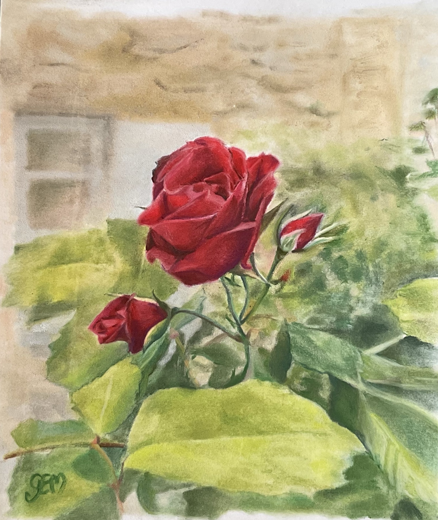 Roses Rouges